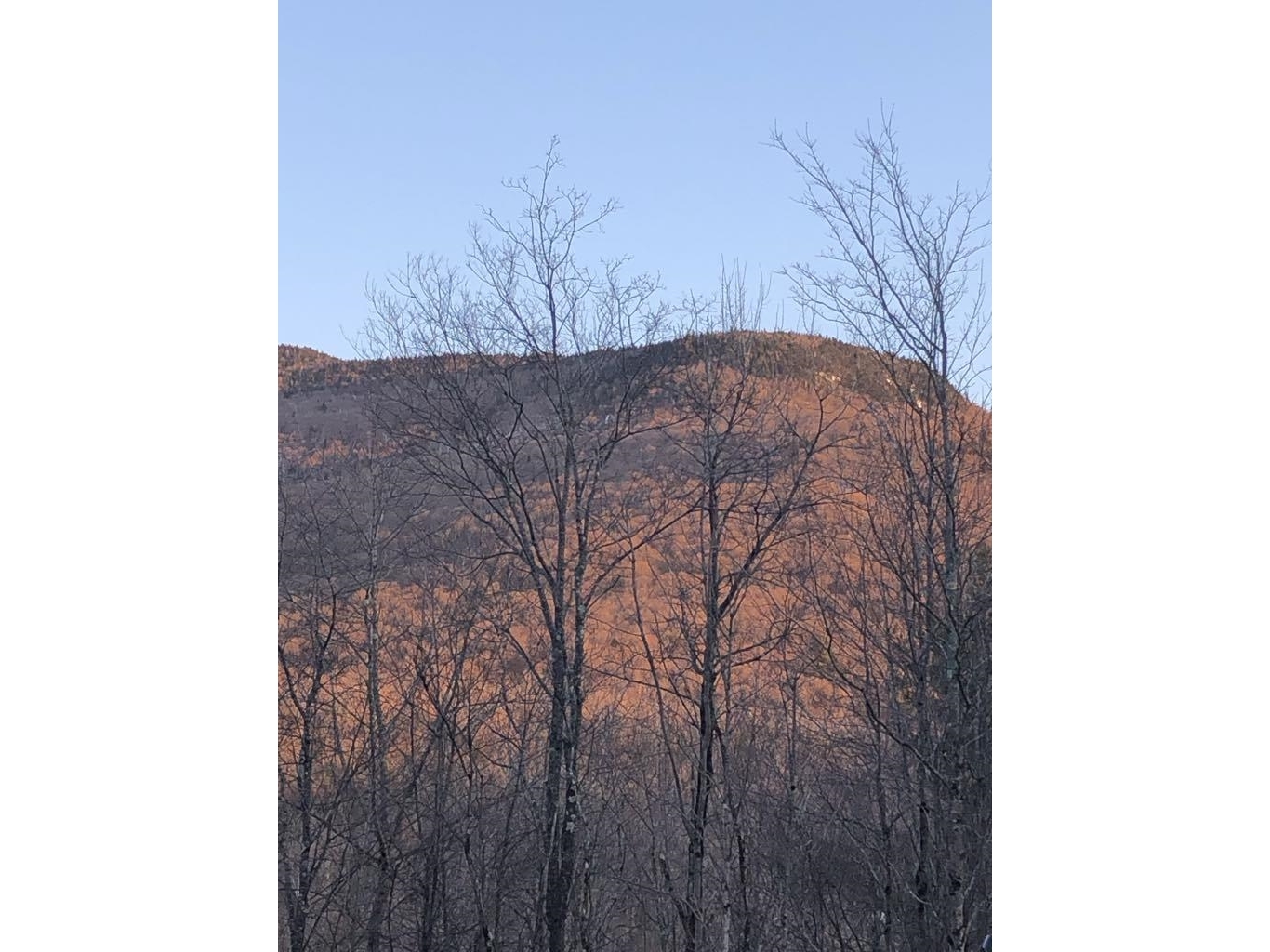 1430 back Road