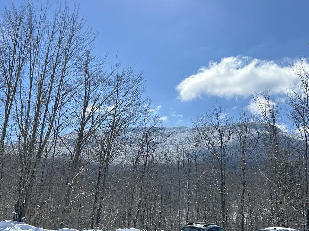 1430 back Road