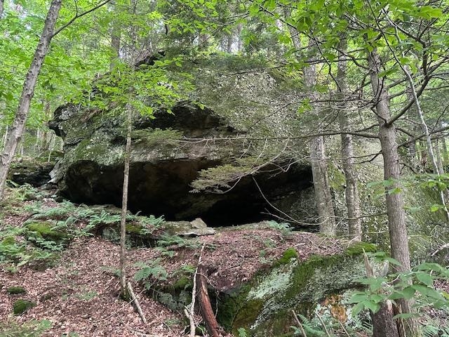 1430 back Road
