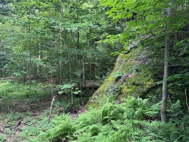 1430 back Road