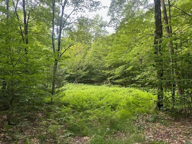 1430 back Road