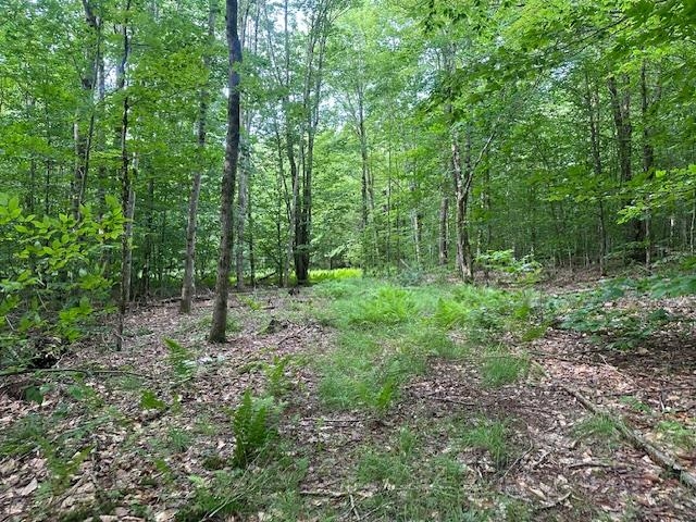1430 back Road