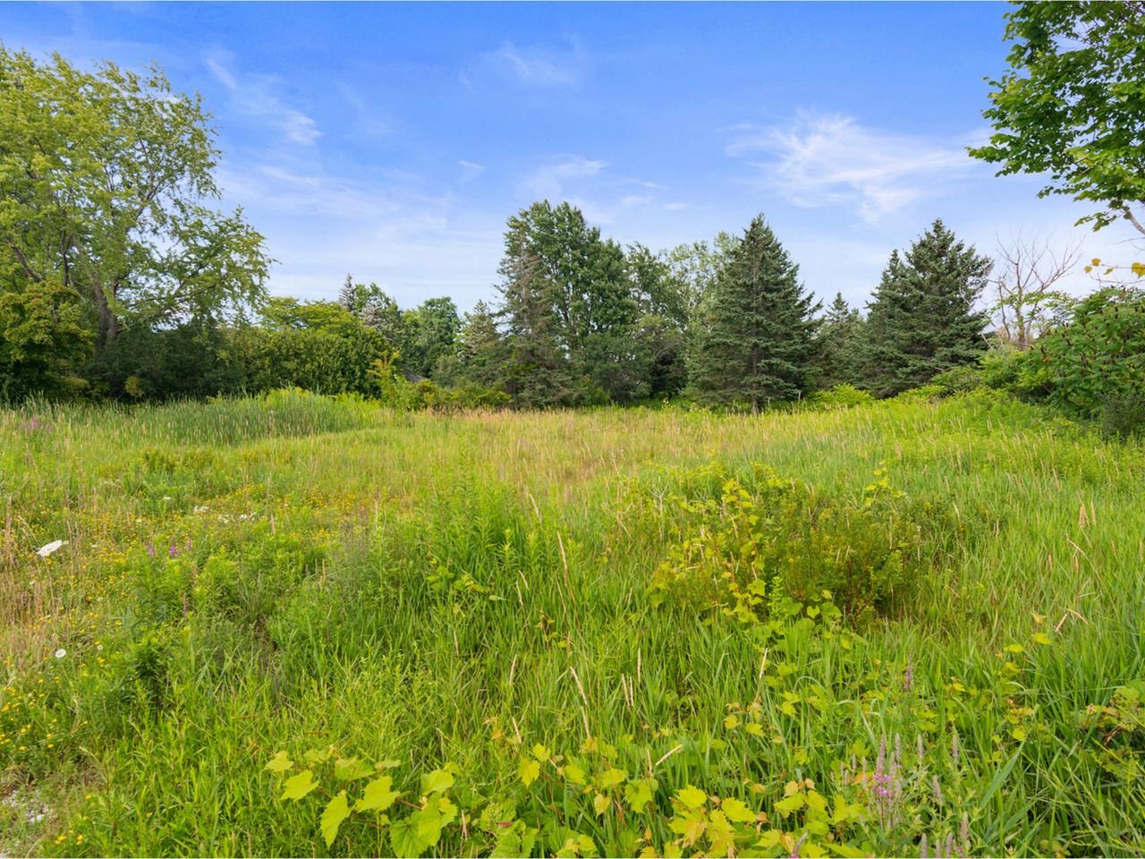 Open & Treed Areas