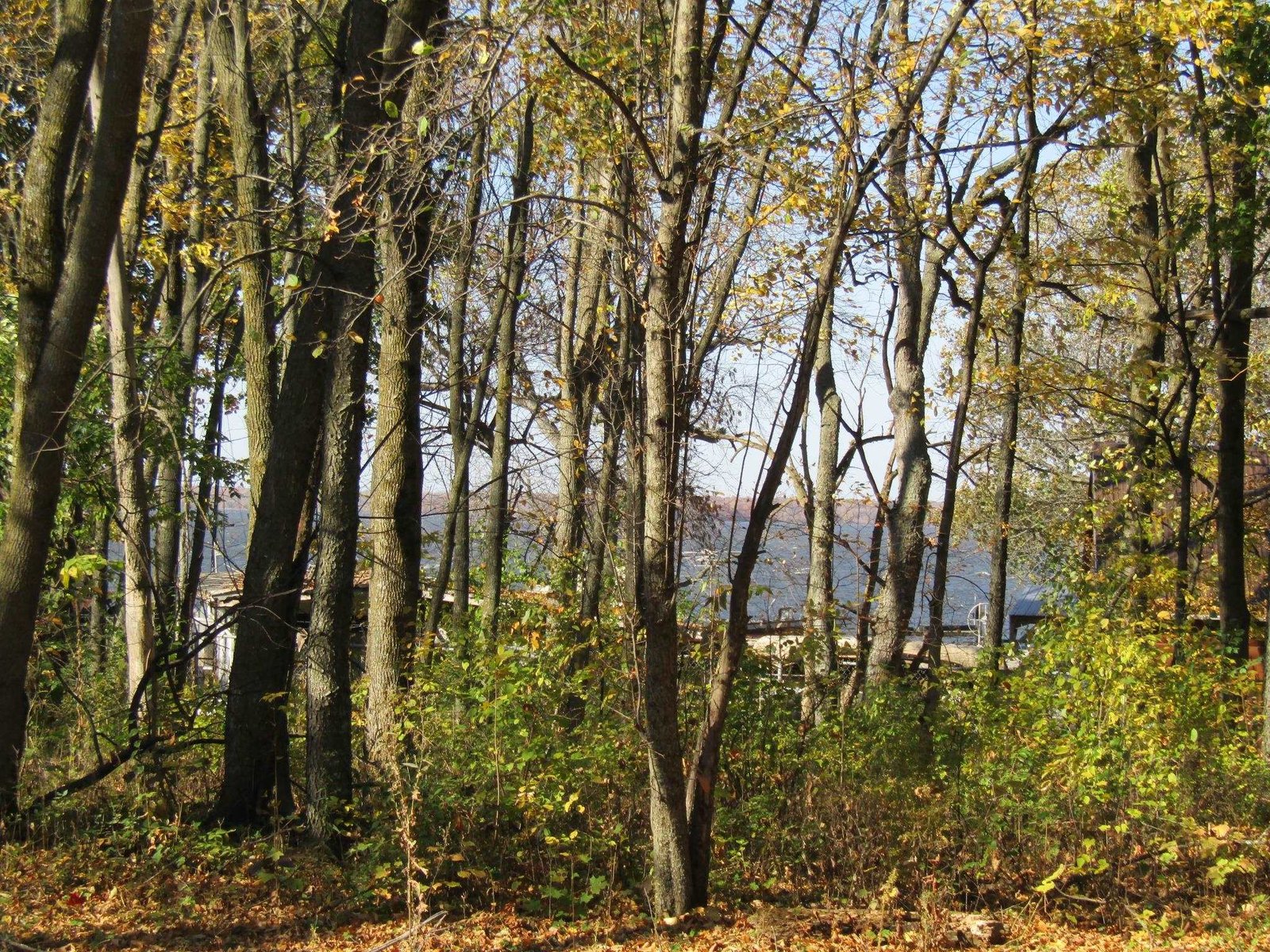 144 Hog Island Road