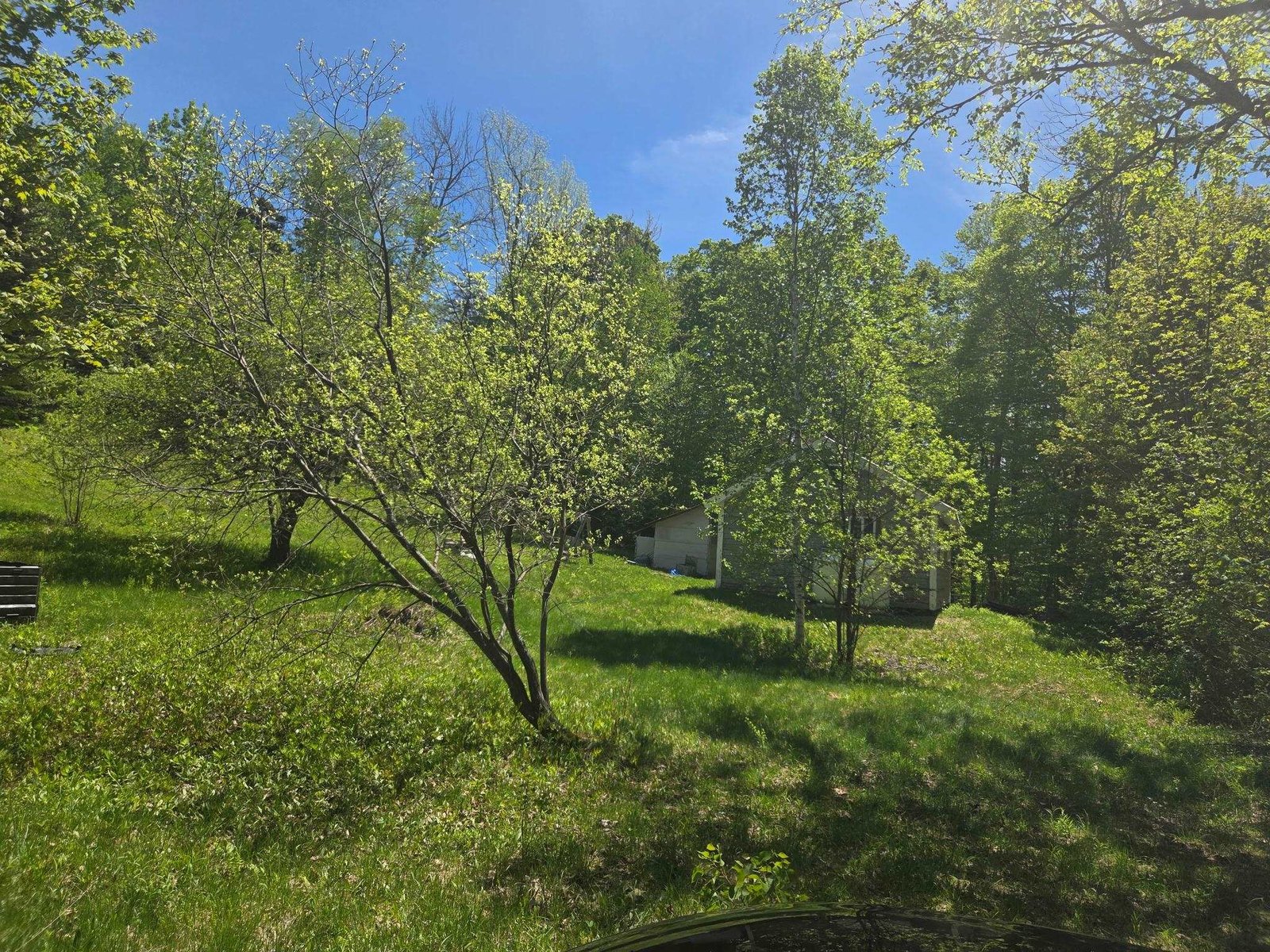 1440 Stevens Road