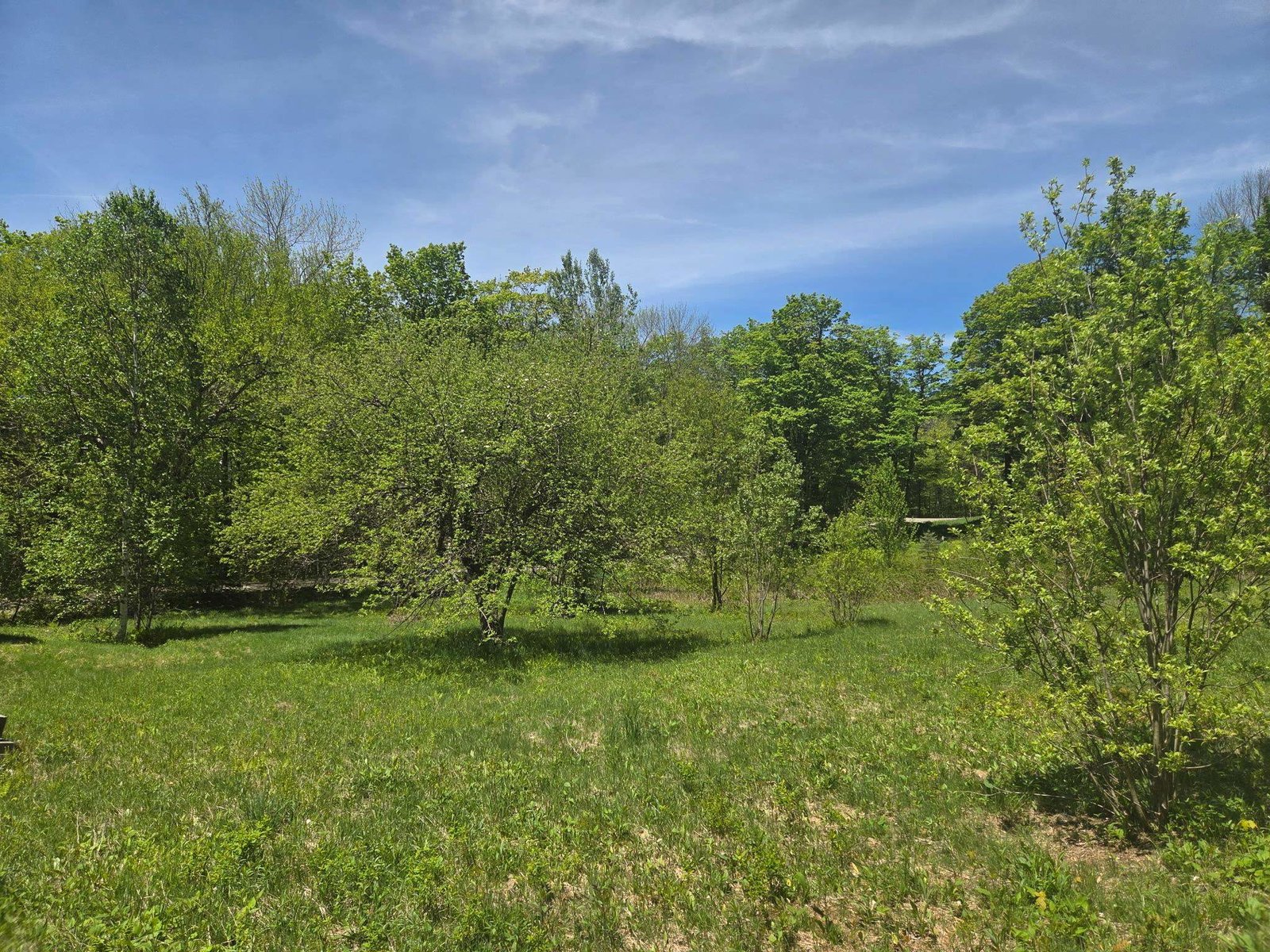 1440 Stevens Road
