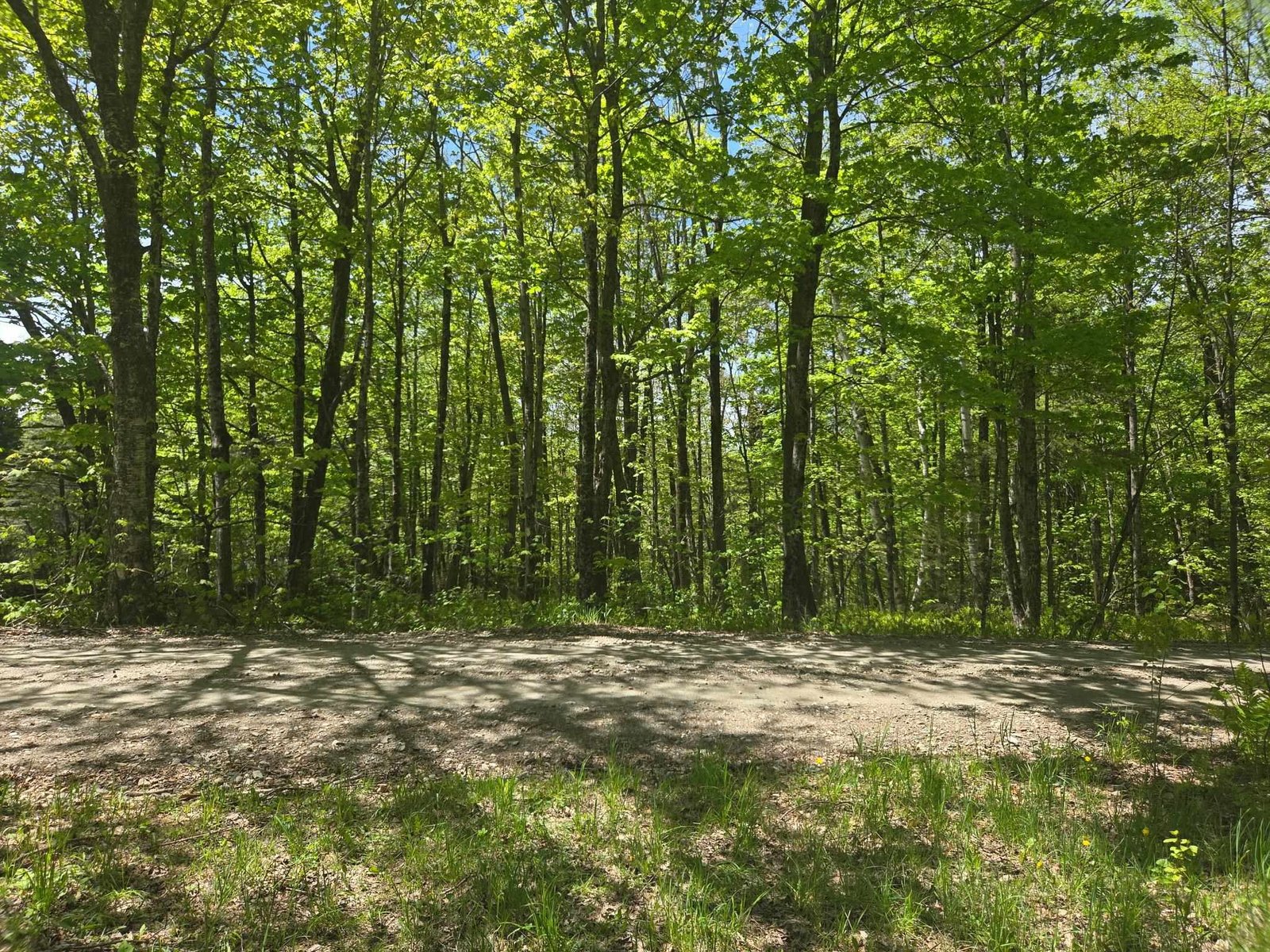 1440 Stevens Road
