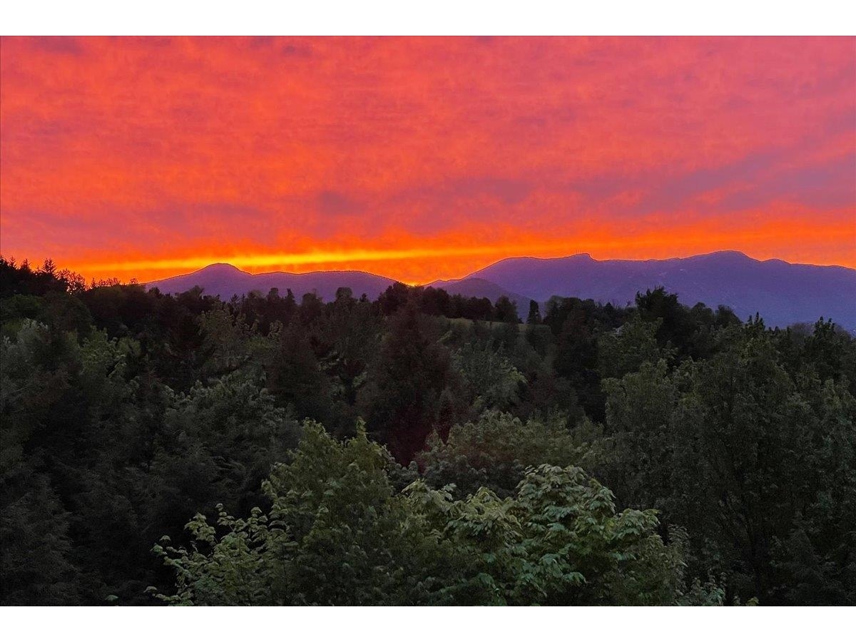 1444 Upper Hollow Road