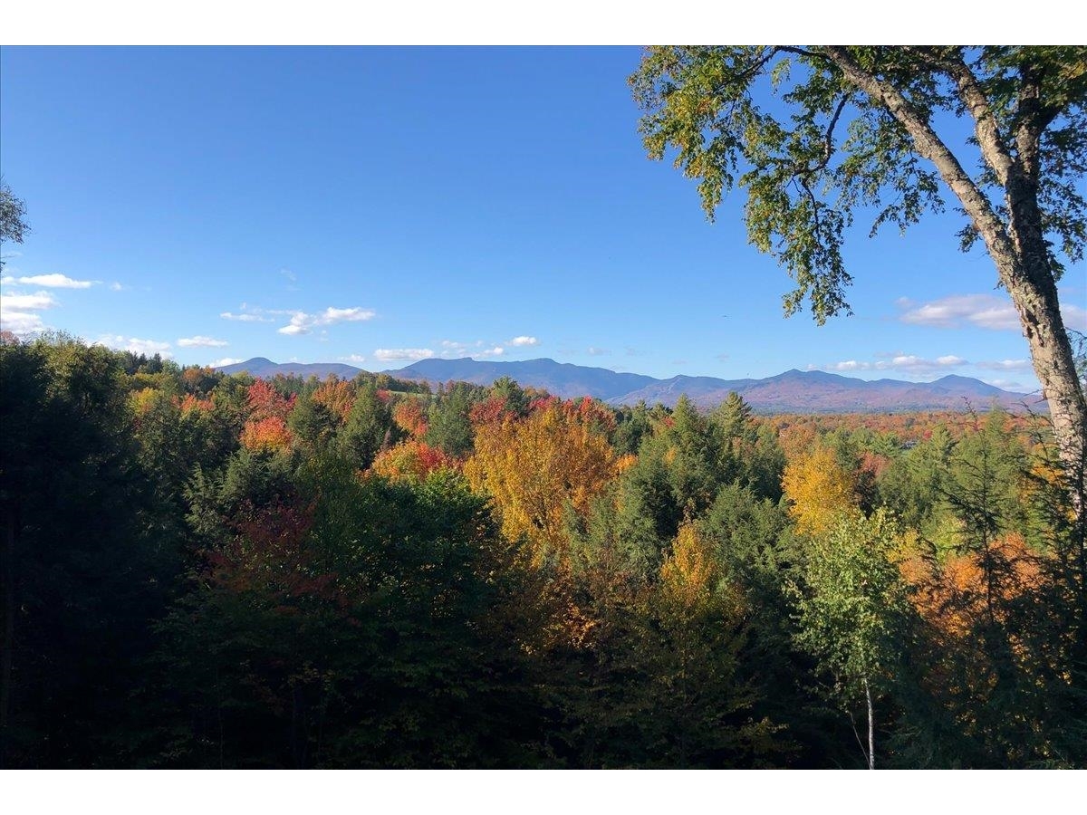1444 Upper Hollow Road