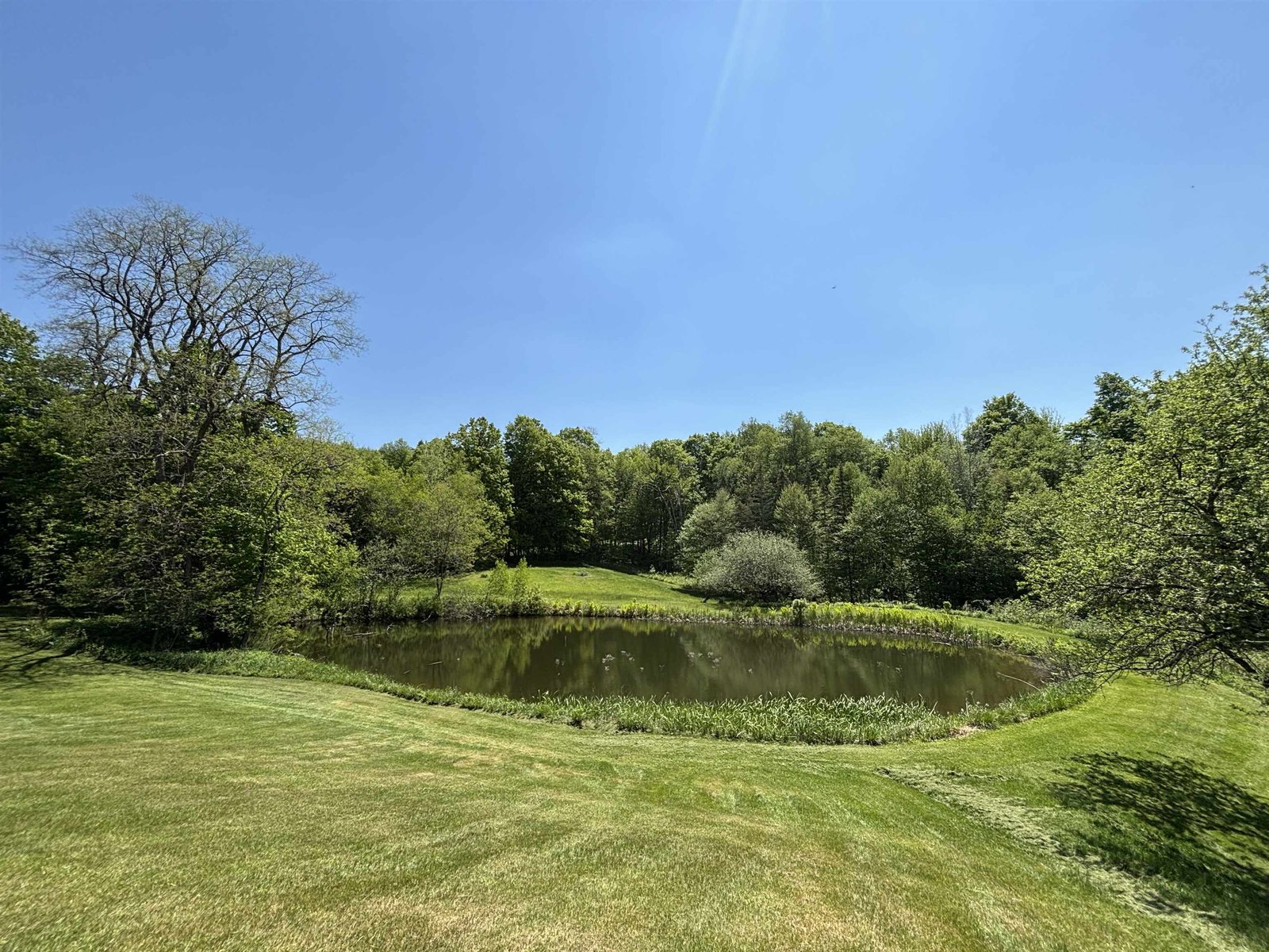 1447 Joyal Road