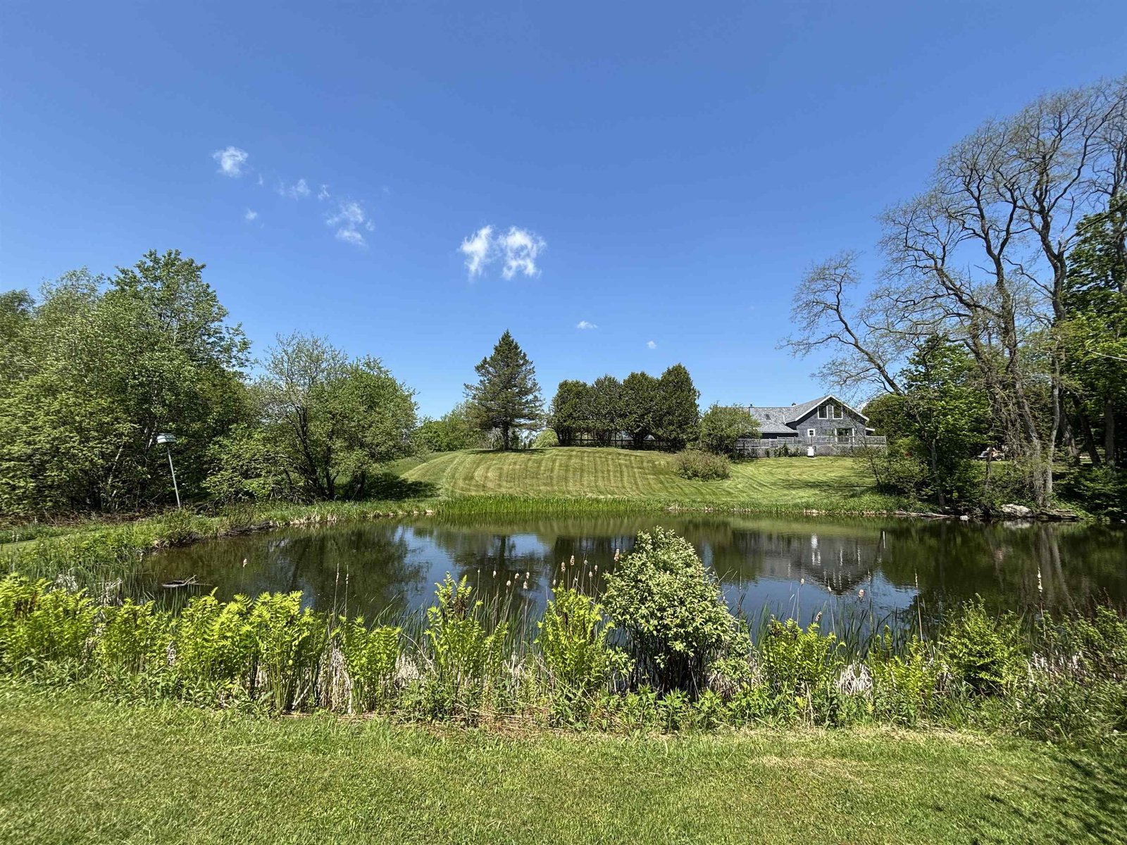 1447 Joyal Road