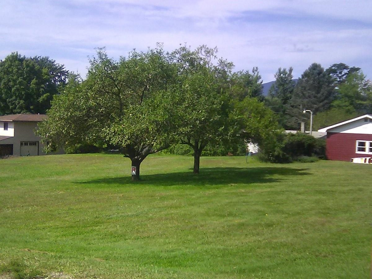 145 Langdell Road, Morristown