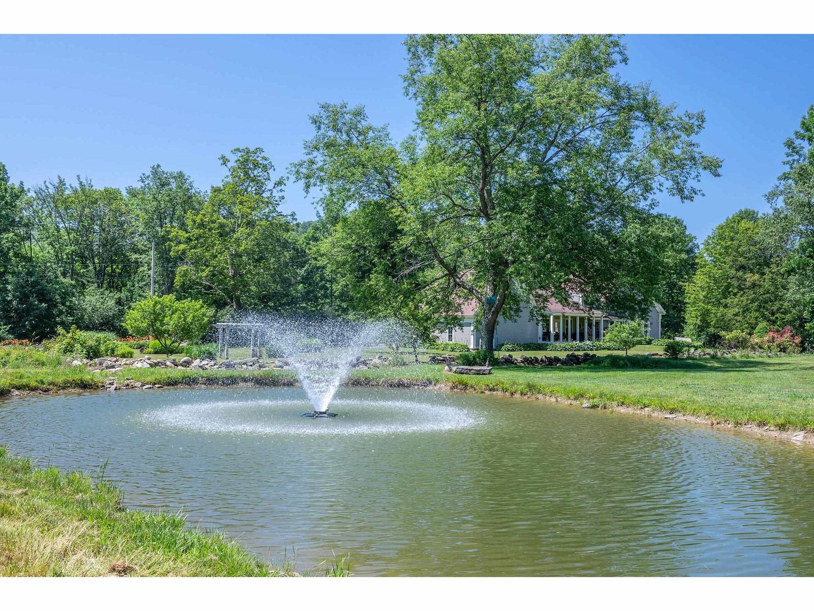 Pond with fountain