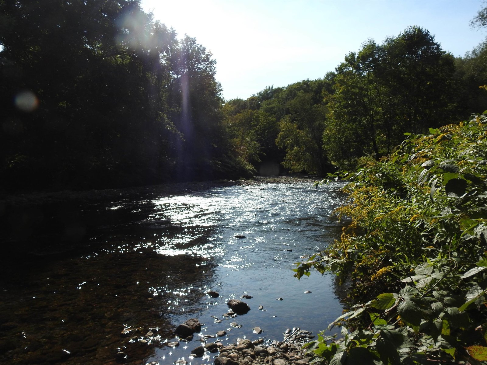River views from steps