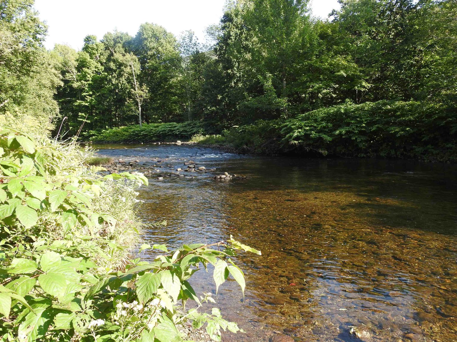 River view in front of steps