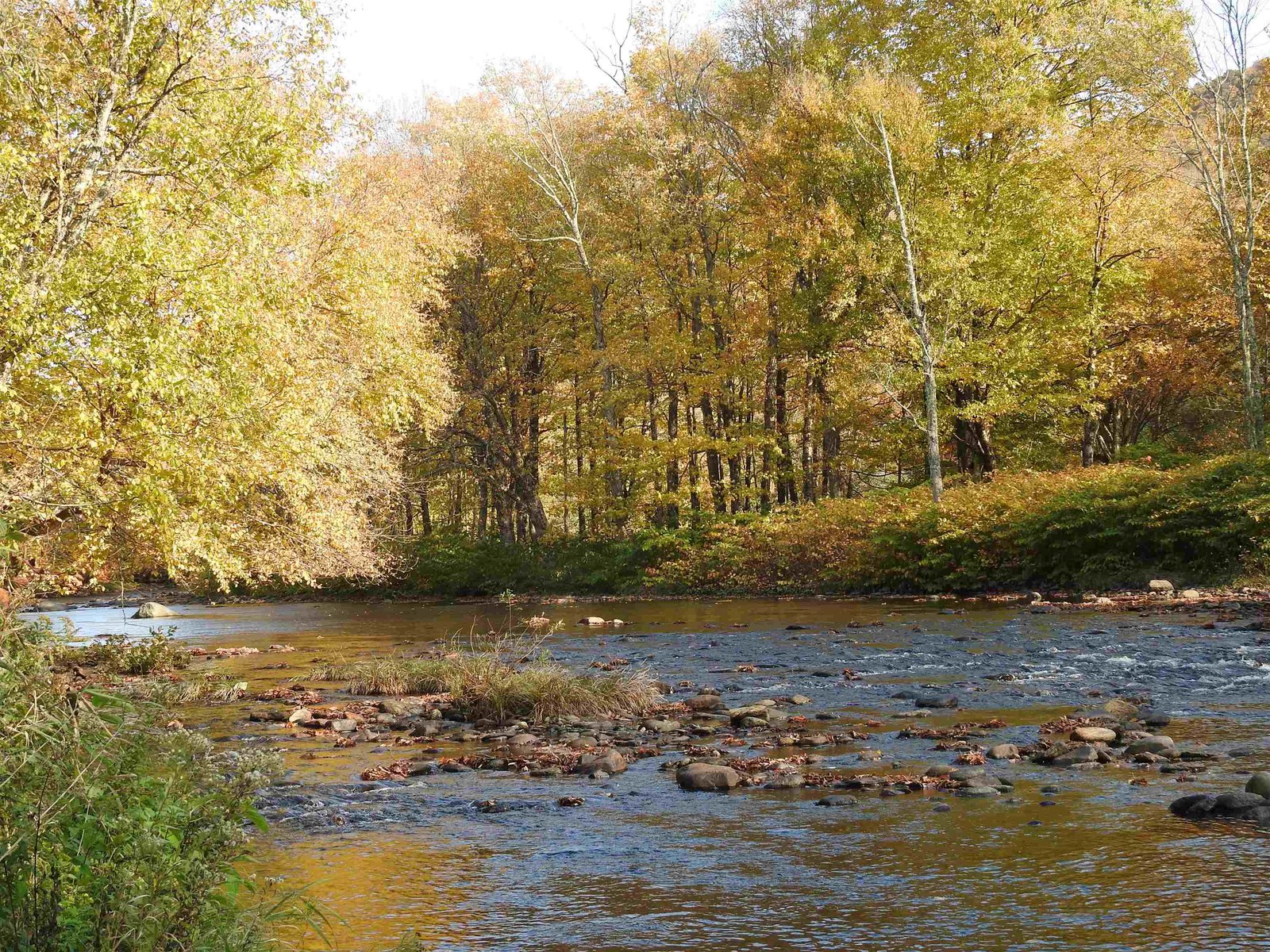 Steps to the river