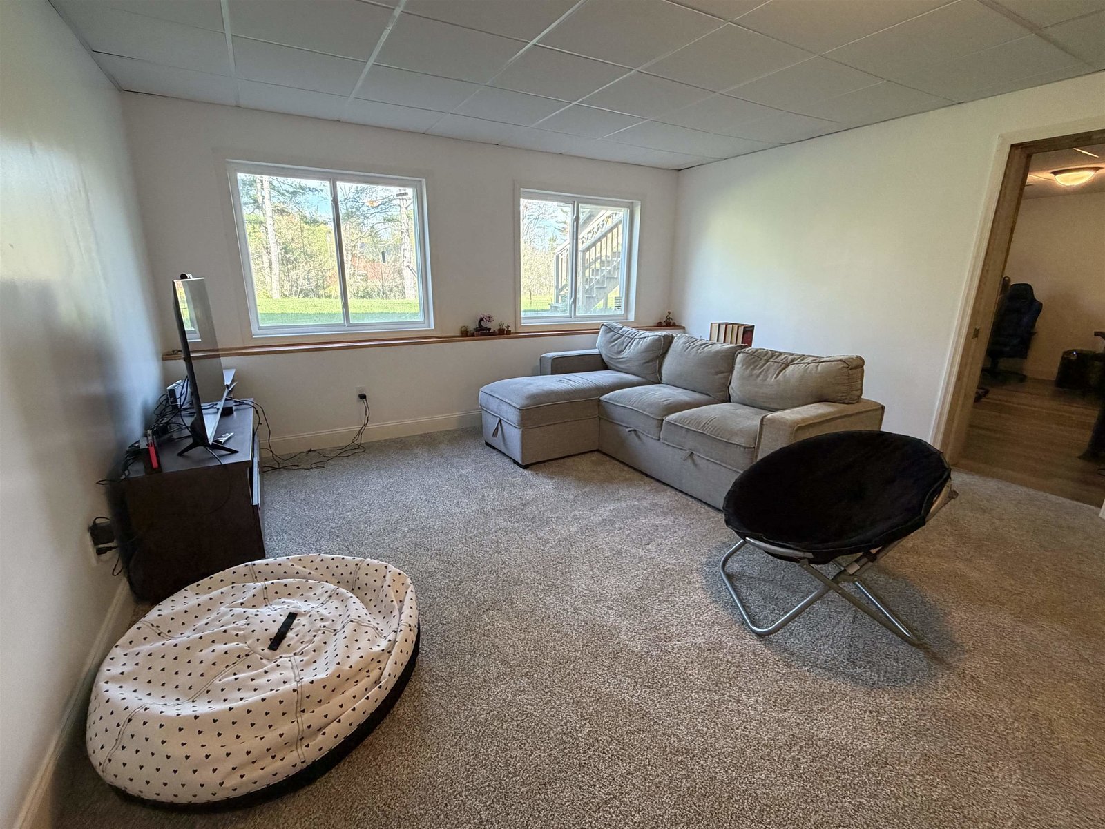 Lower level recreation room