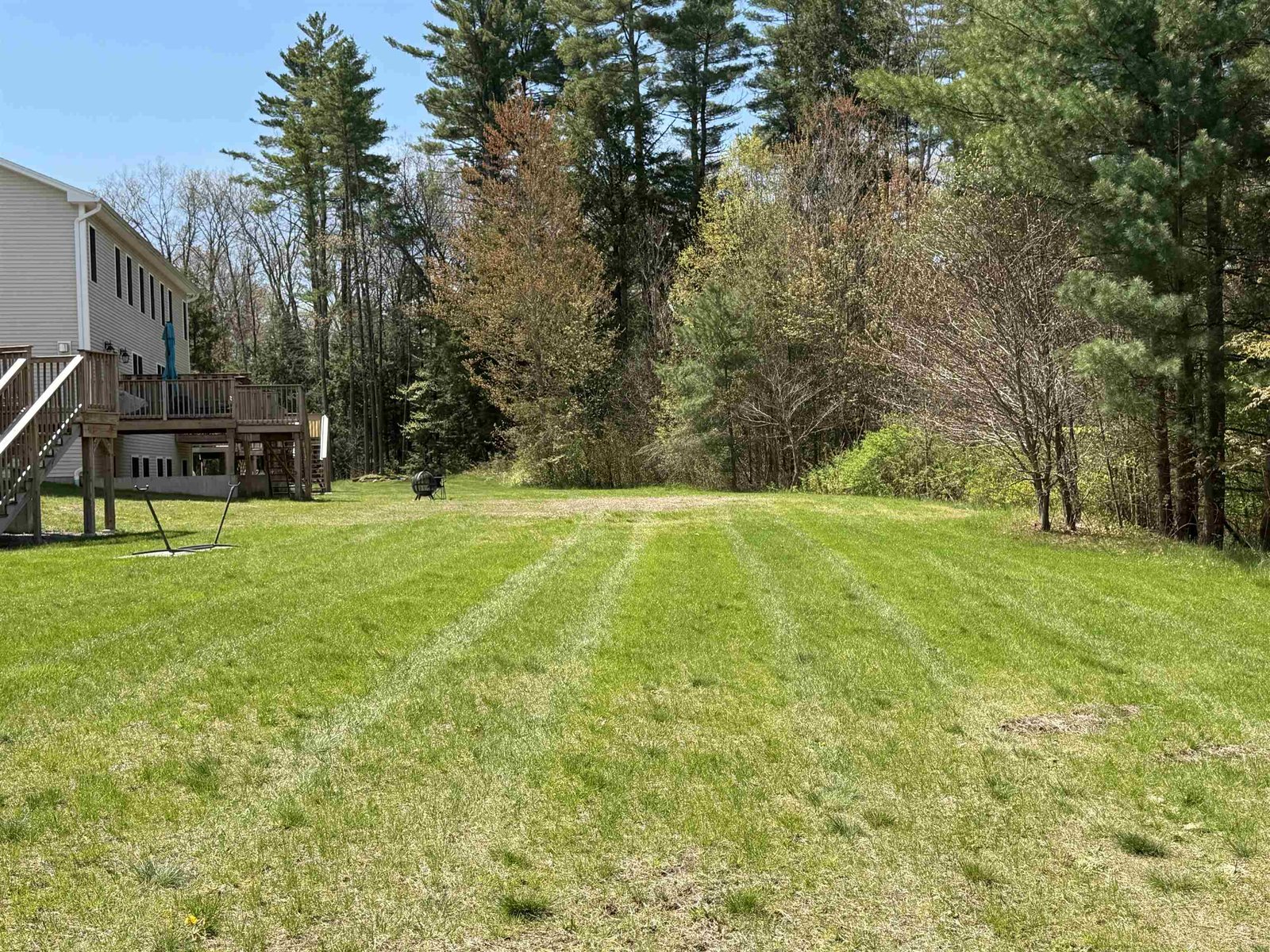 Rear yard/common area