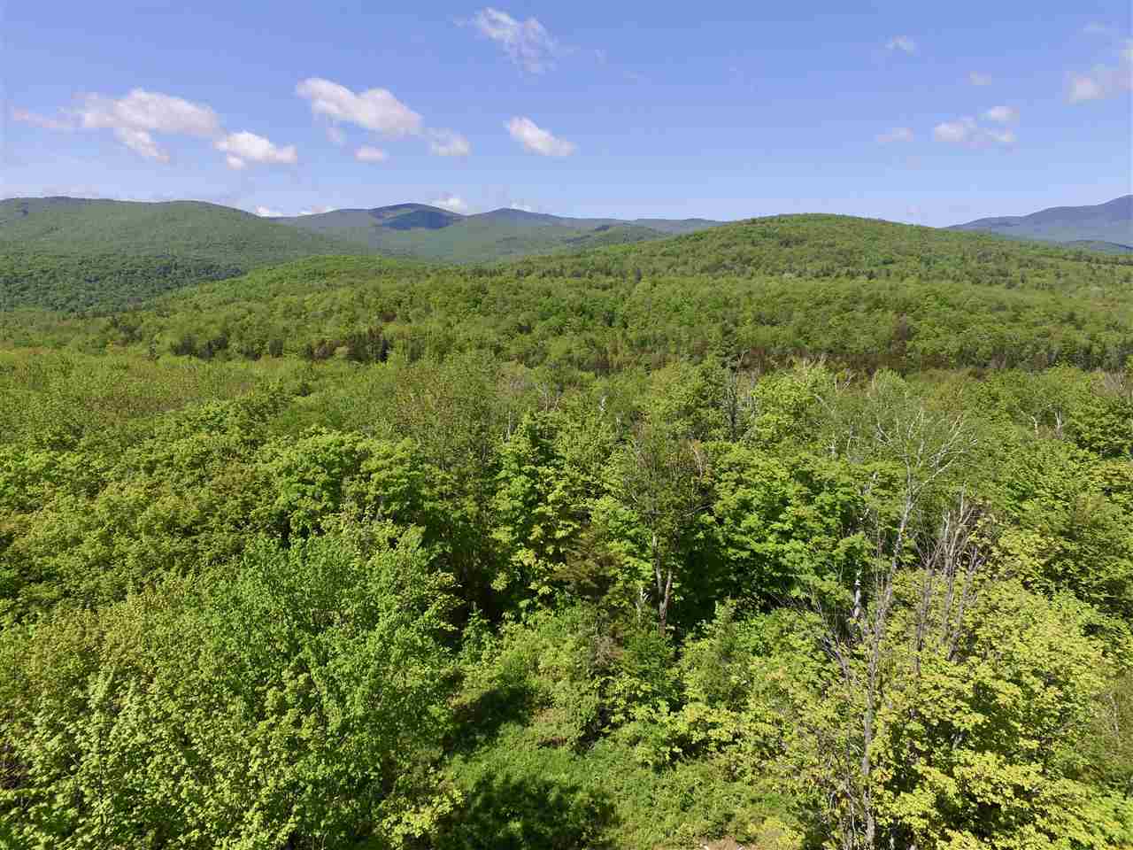1480 Prickly Mountain Road