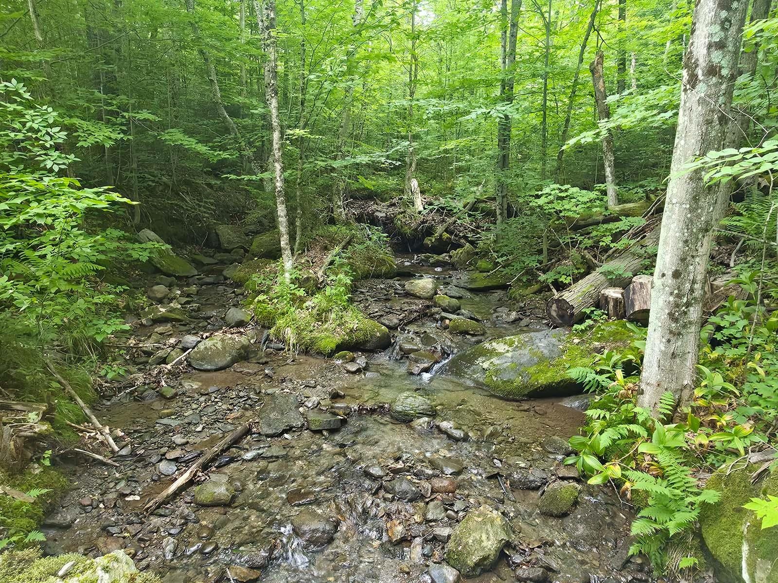 1483 Enosburg Mountain Road