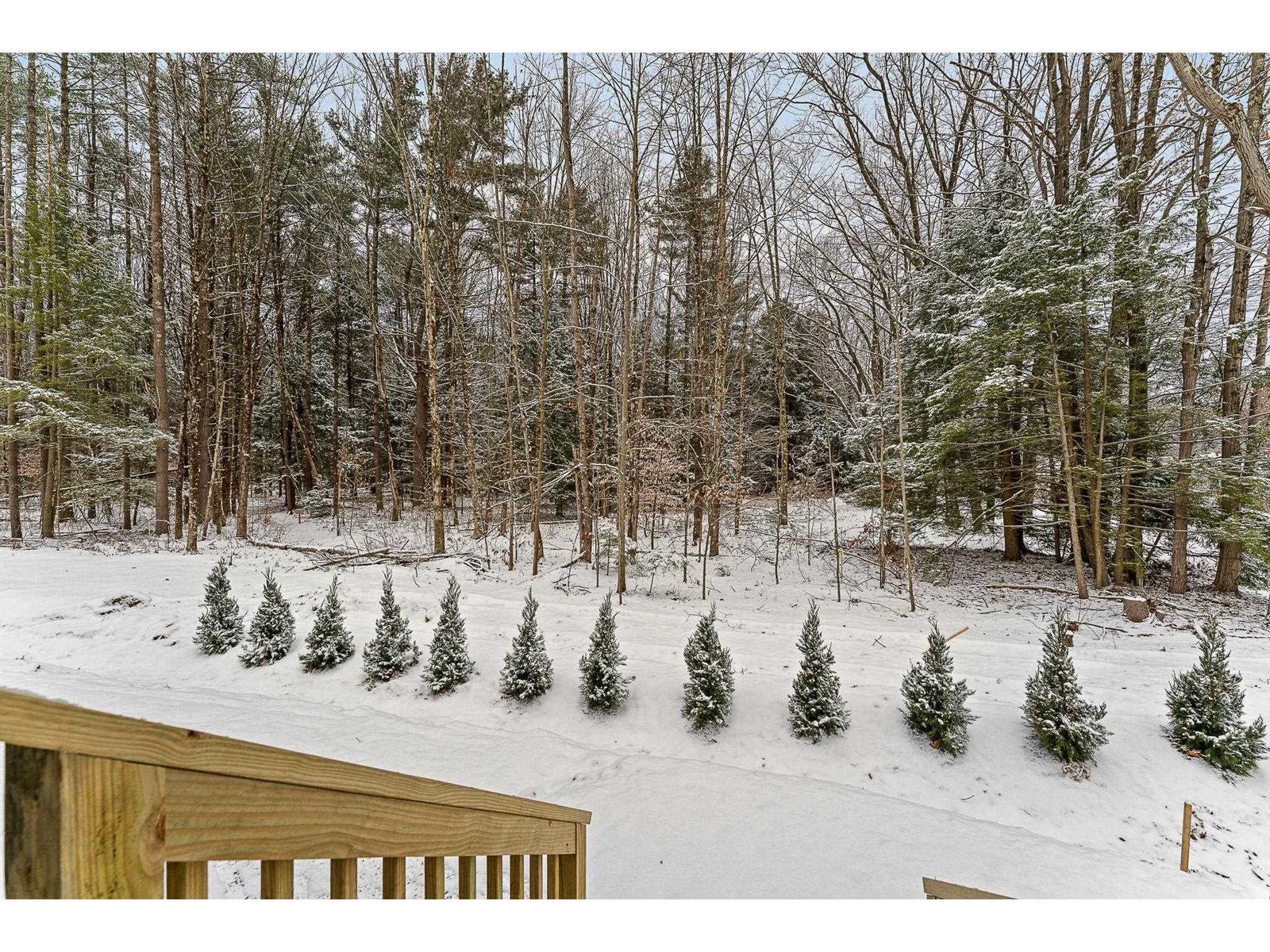 14R Dogwood Circle, Unit 14R Kousa