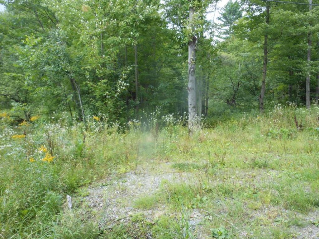 15 acres Apple Tree