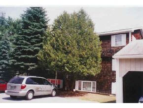 15 Blair Road