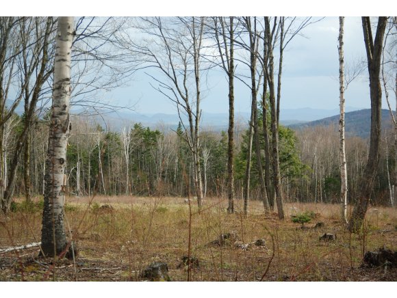 15 Mill Rd.