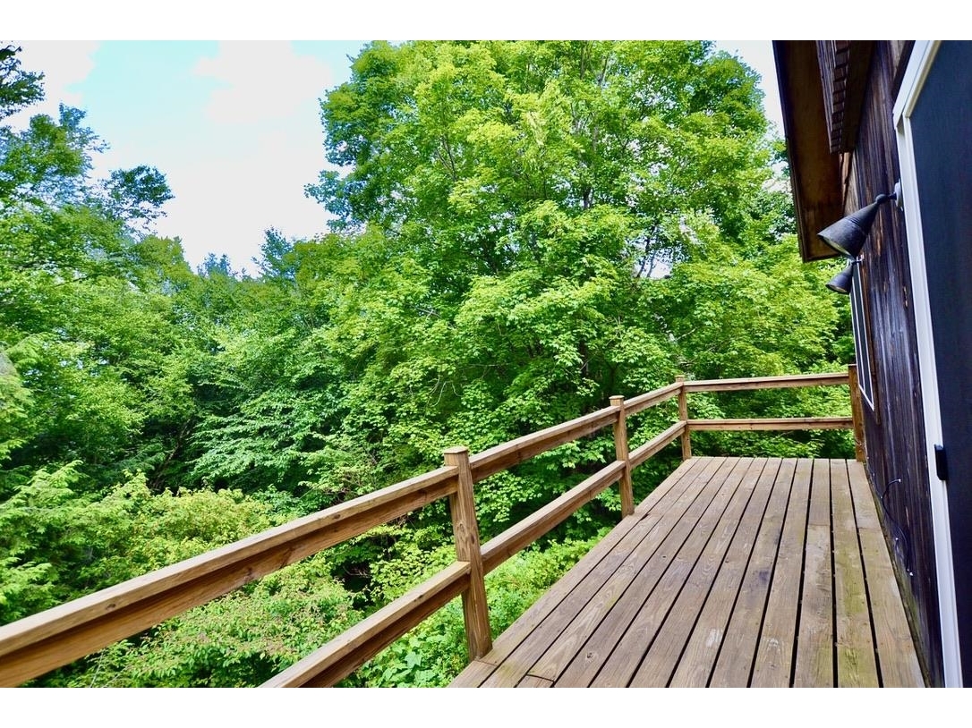 Canopy deck out back!