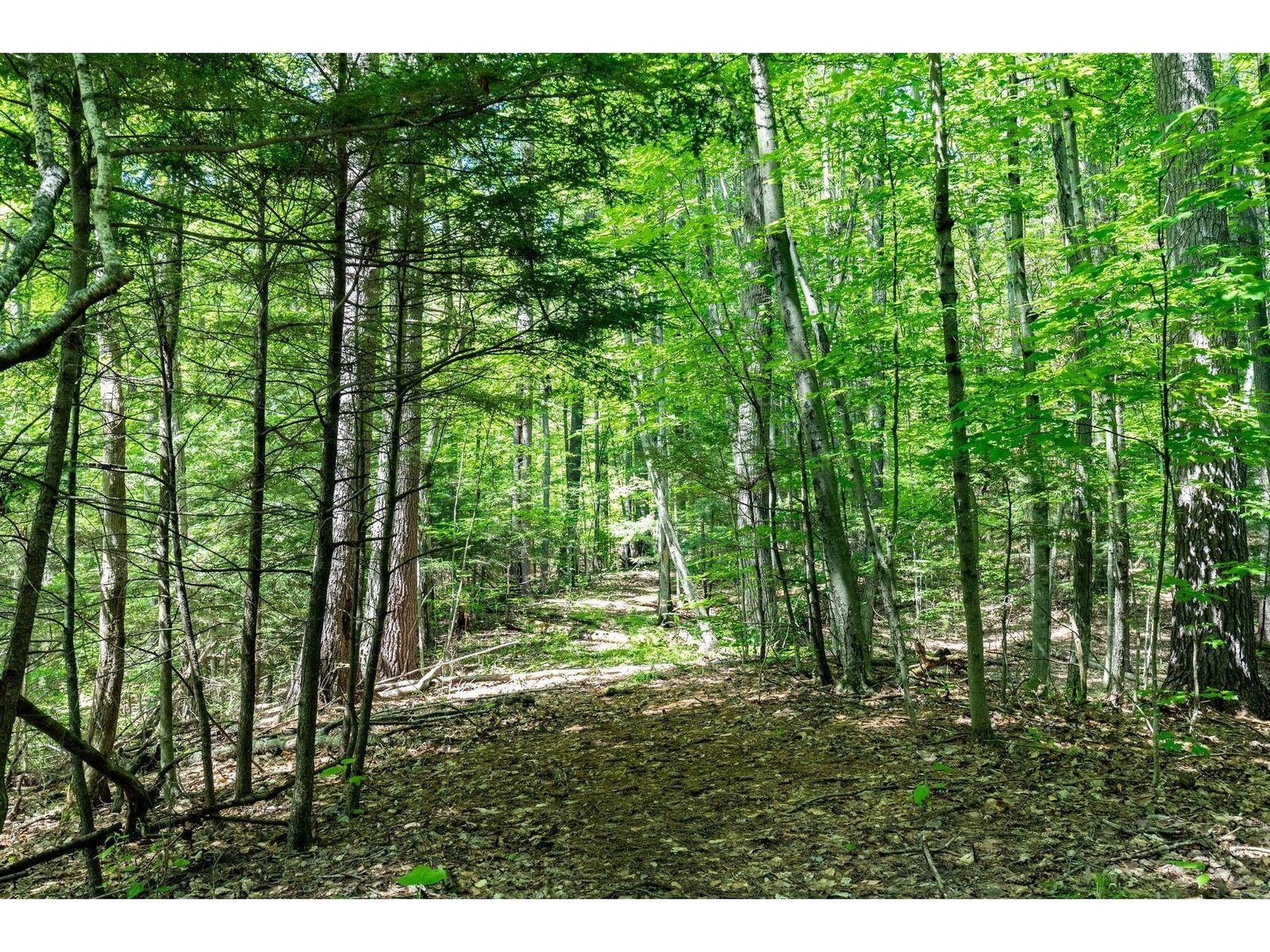 150 Pease Mt. Road