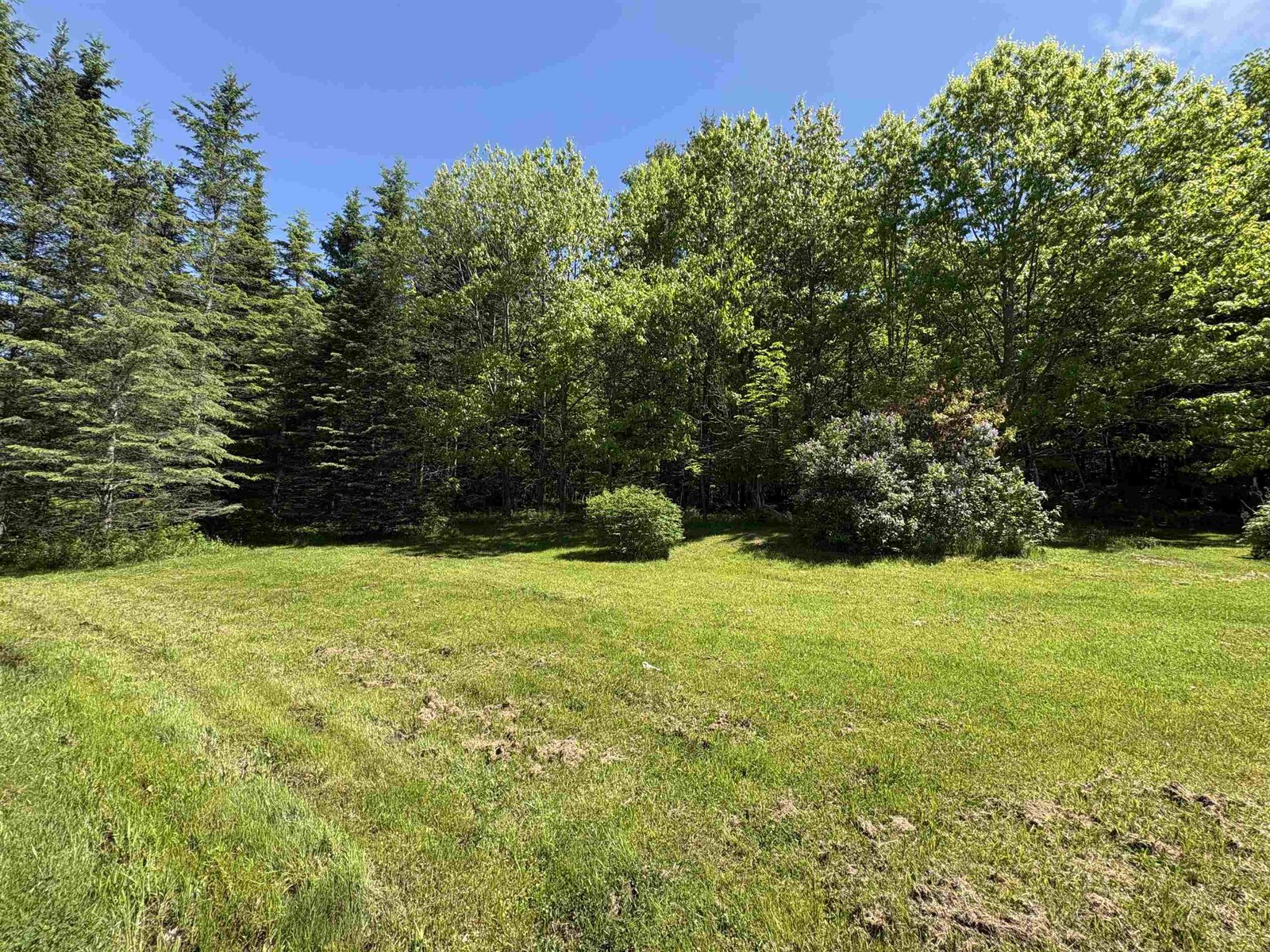150 Willoughby Lake Road