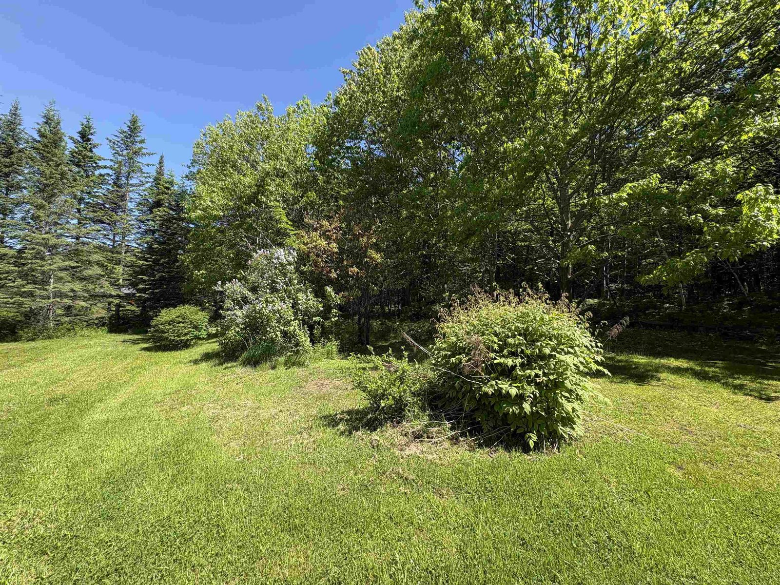 150 Willoughby Lake Road
