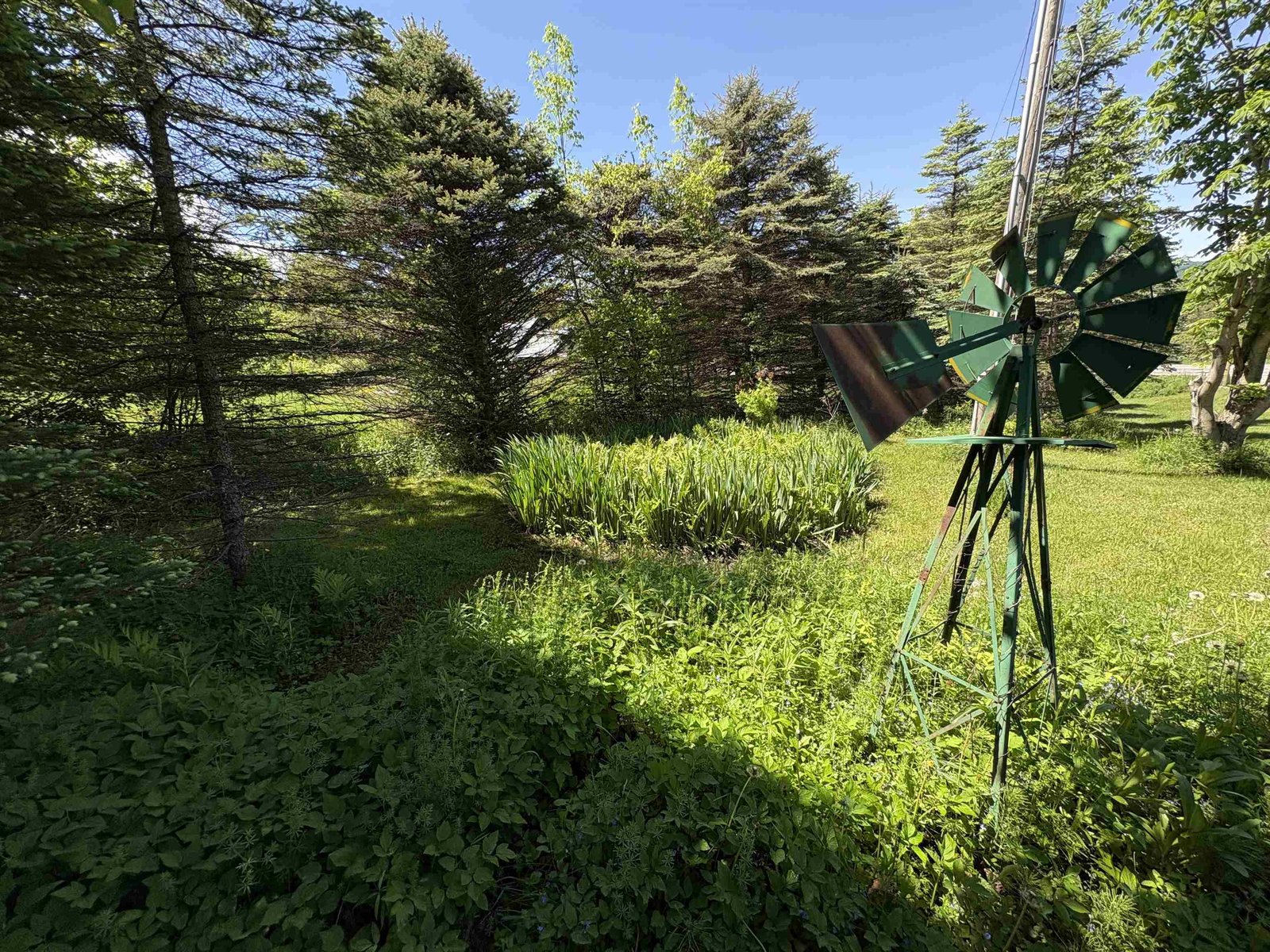 150 Willoughby Lake Road