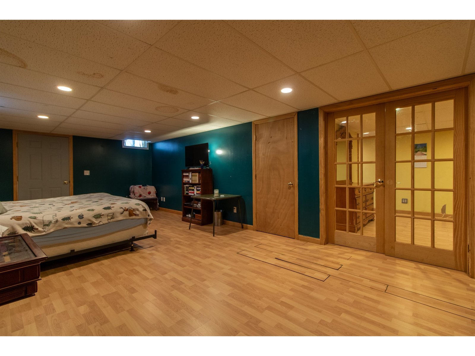 Lower level bedroom