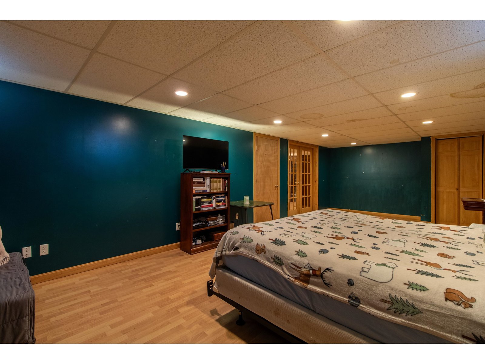Lower level bedroom