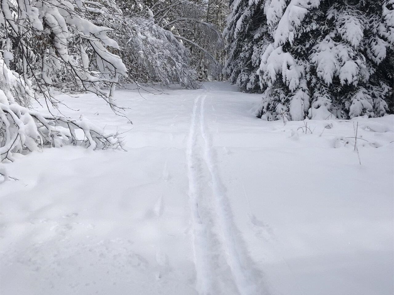 Ski trail on property!