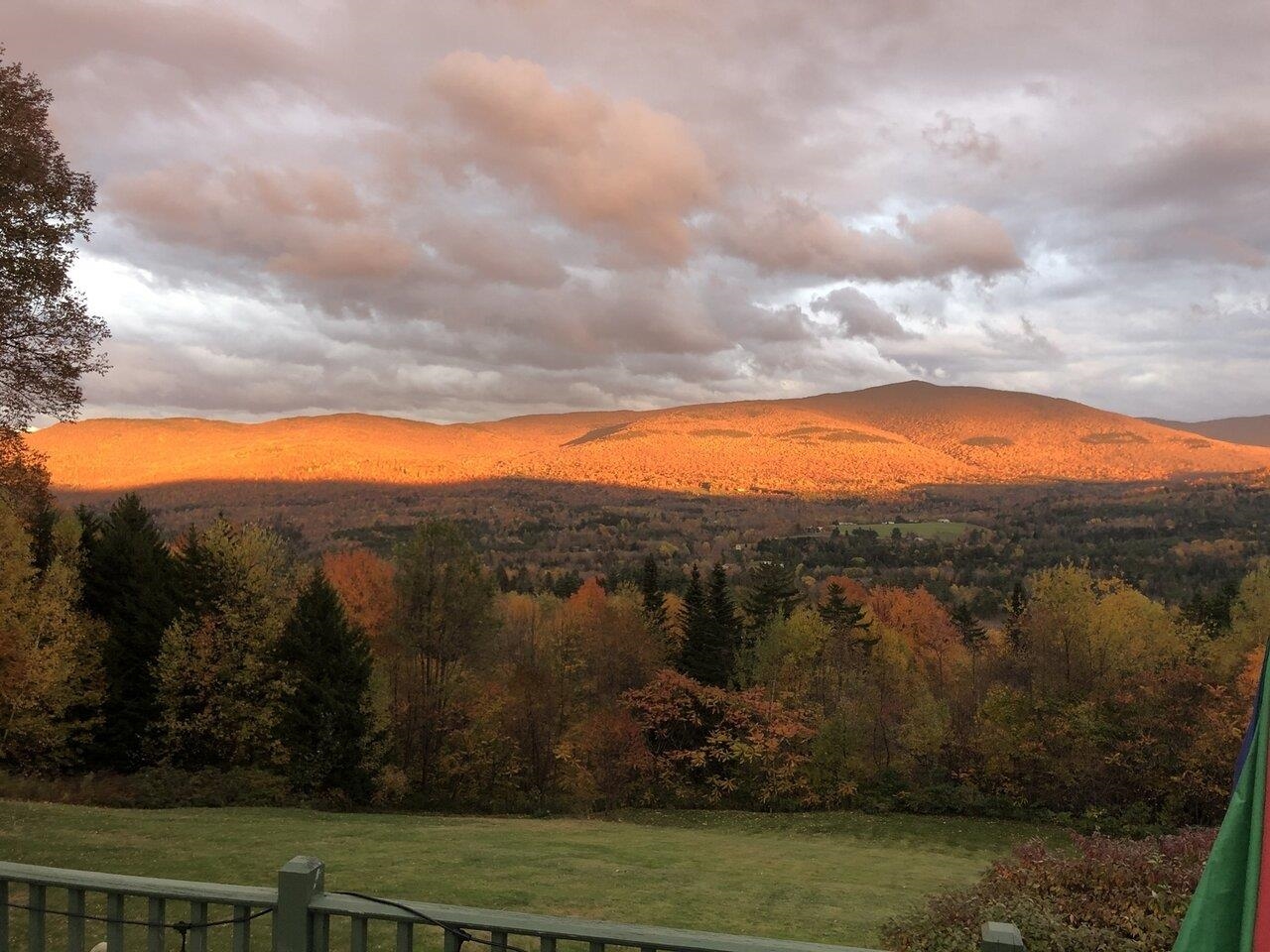 Gorgeous fall foliage!