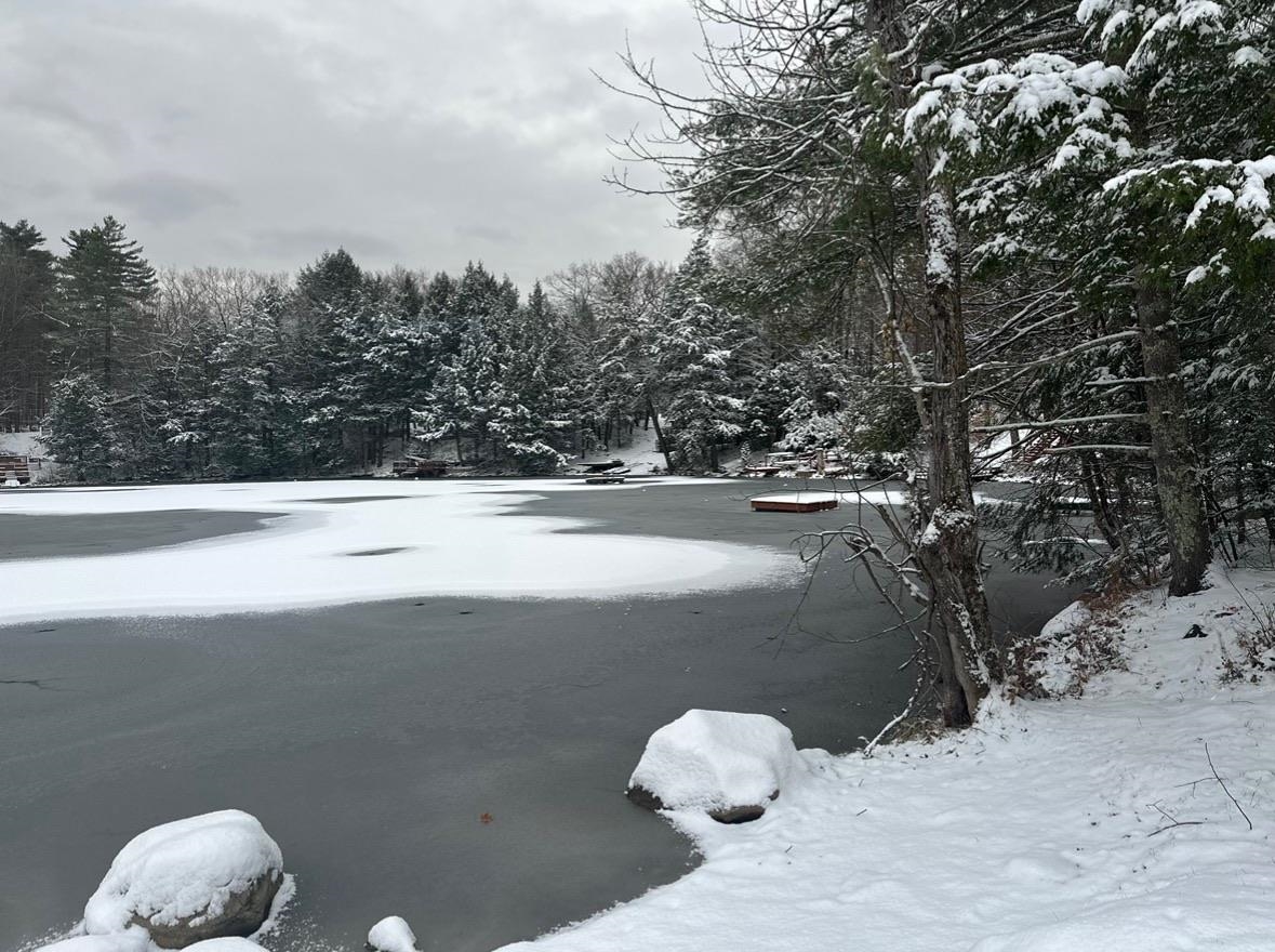 1537 Lake Dunmore Road