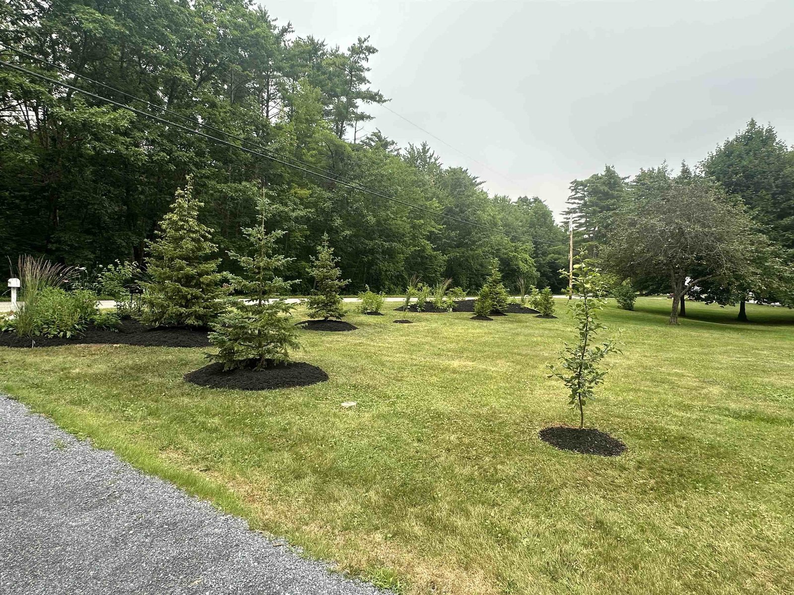 1537 Lake Dunmore Road
