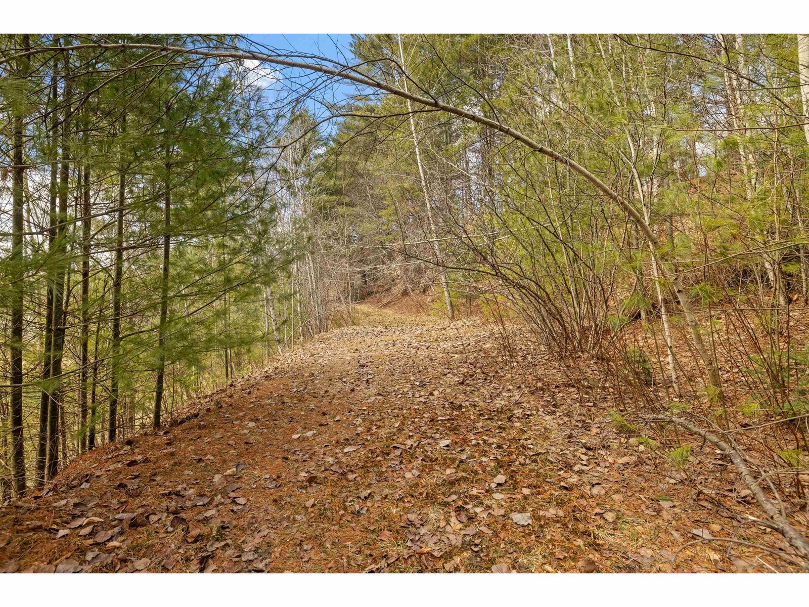 Walking trails