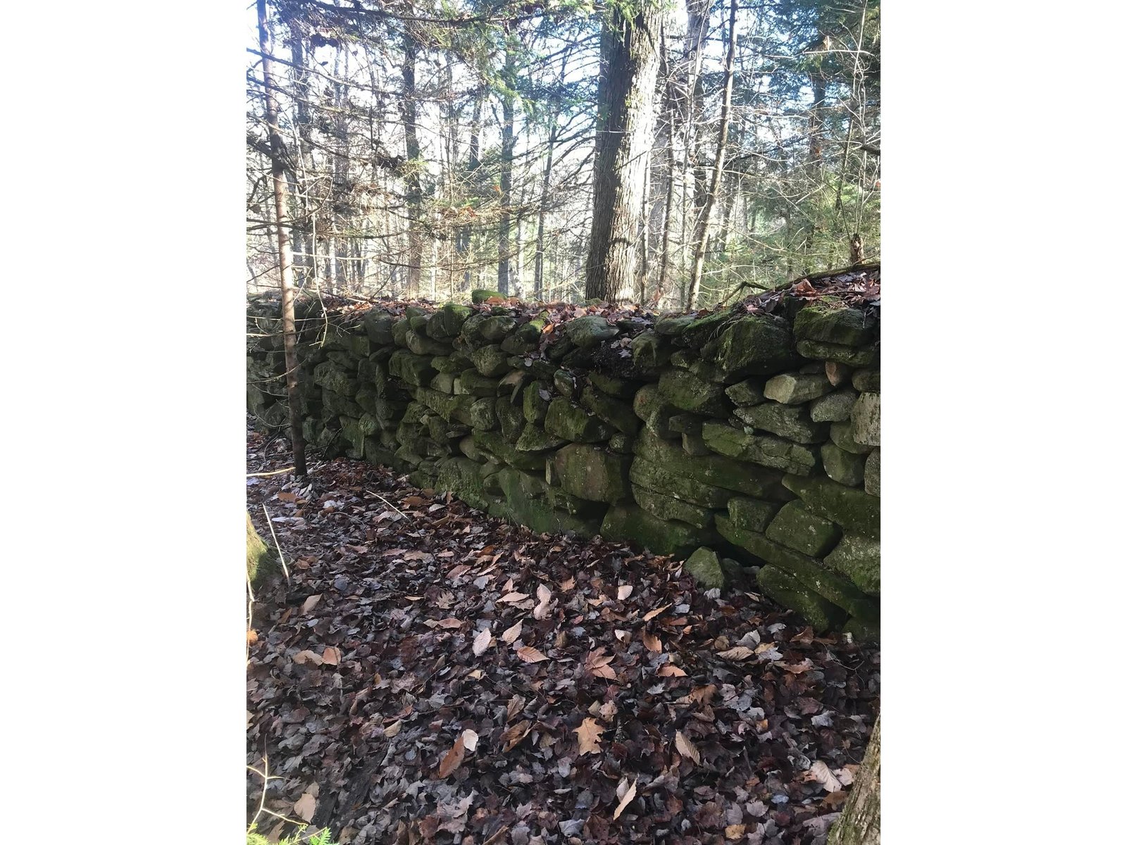 154 Manley Hill Road
