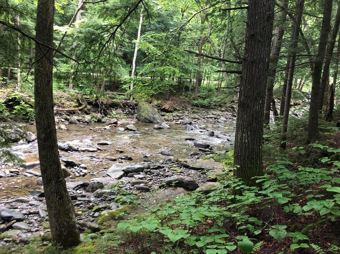 1548 Camels Hump Road