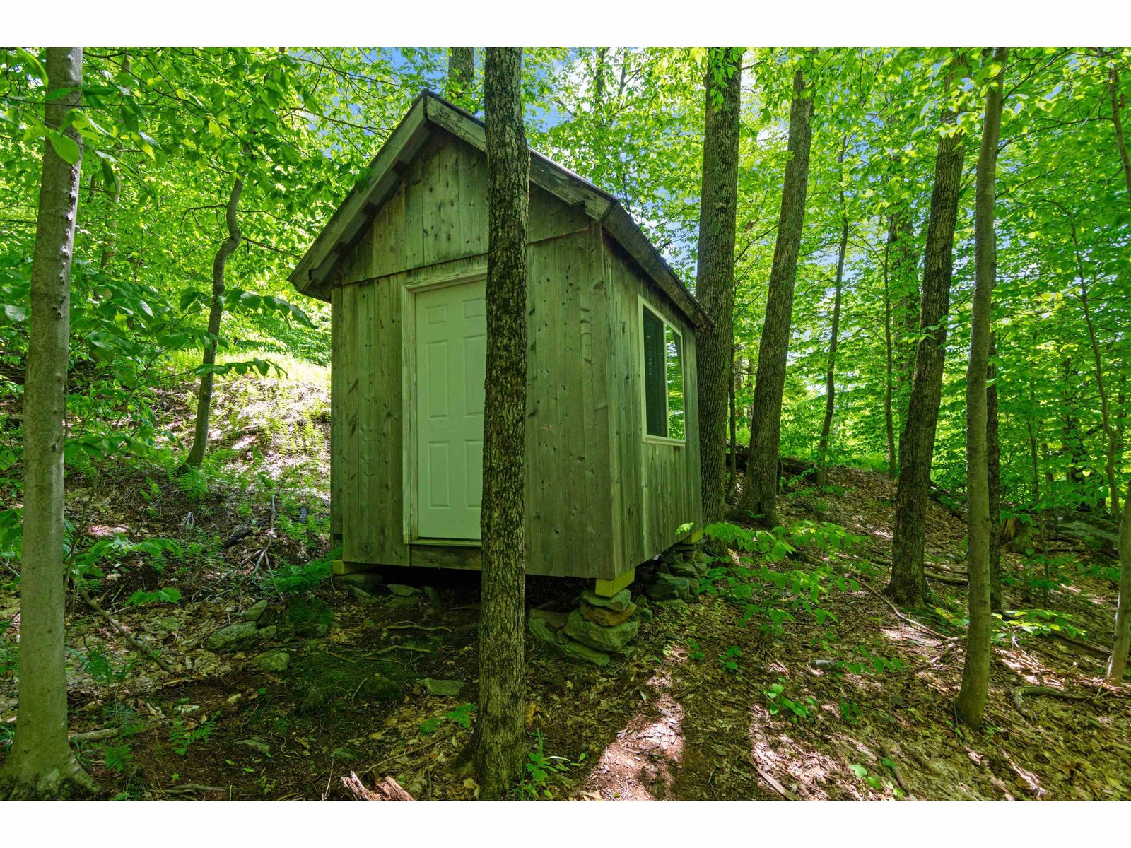 Shed