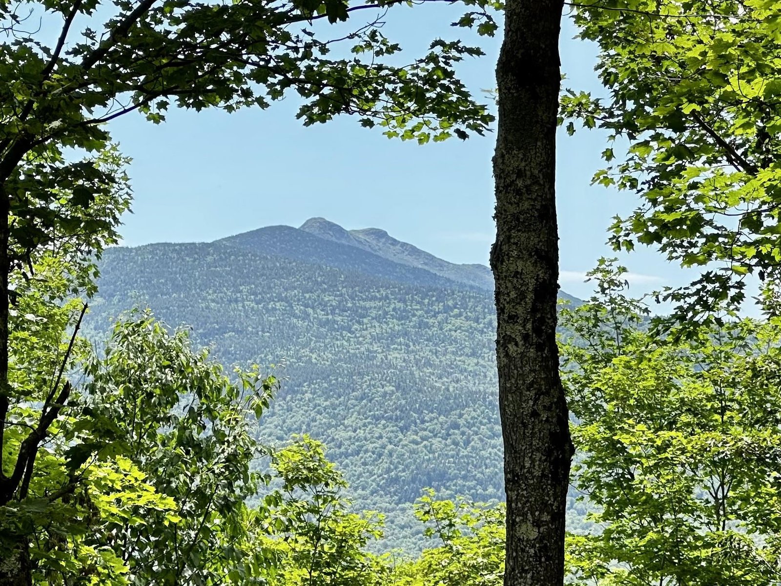 View