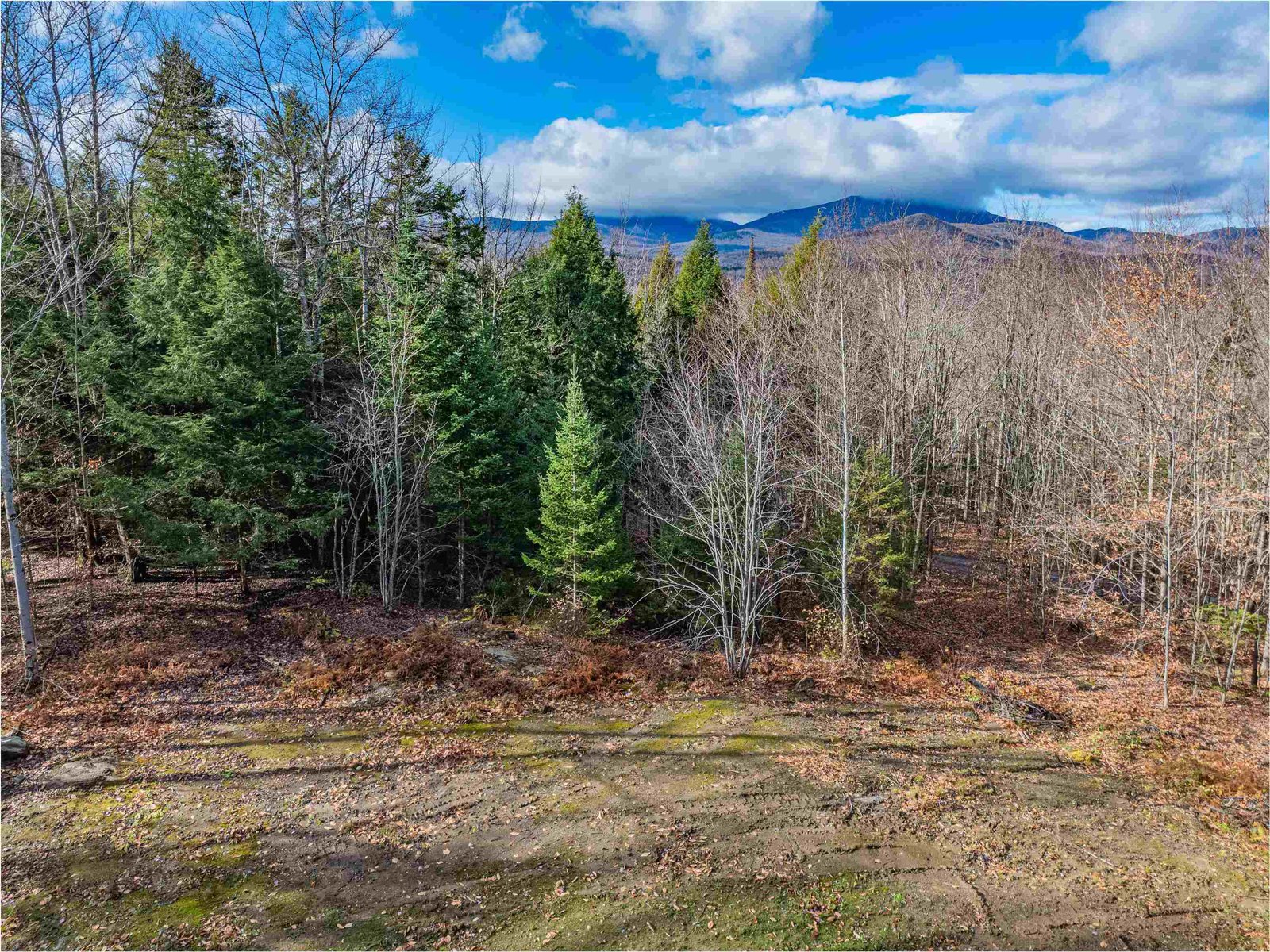 156 White Birch Road
