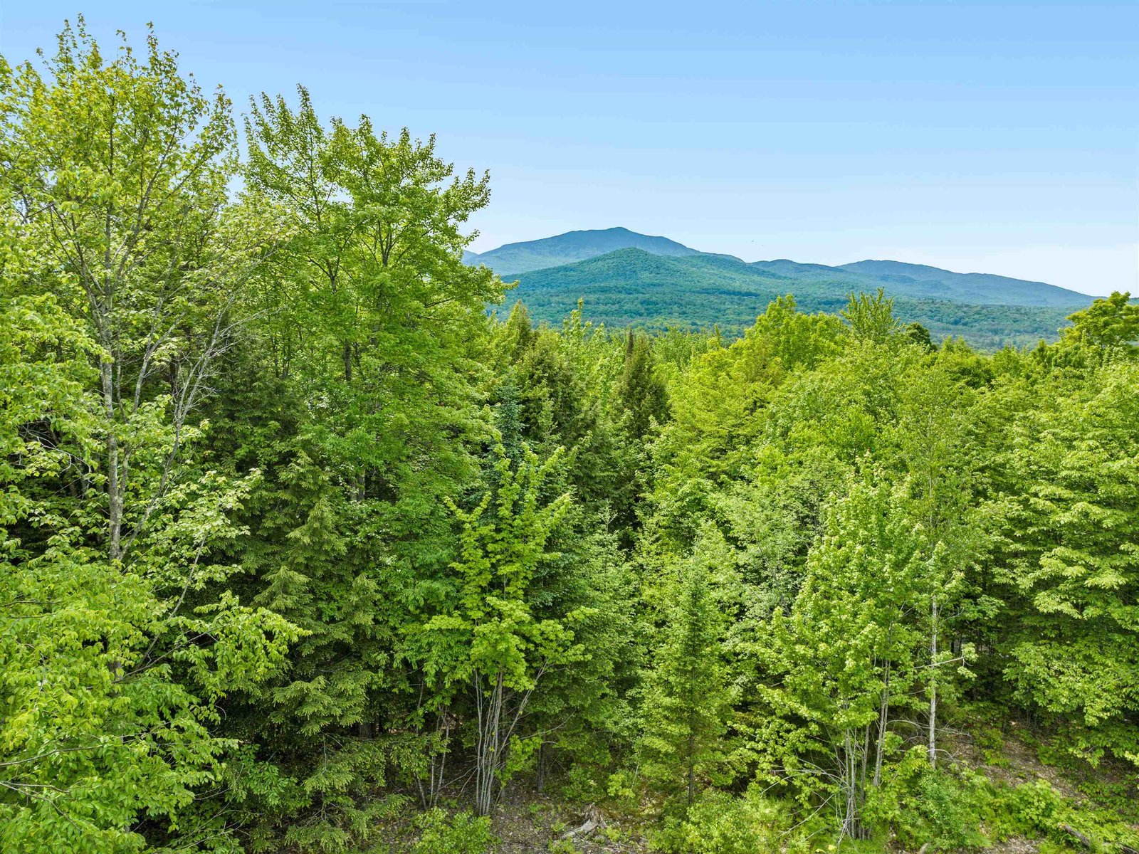 156 White Birch Road