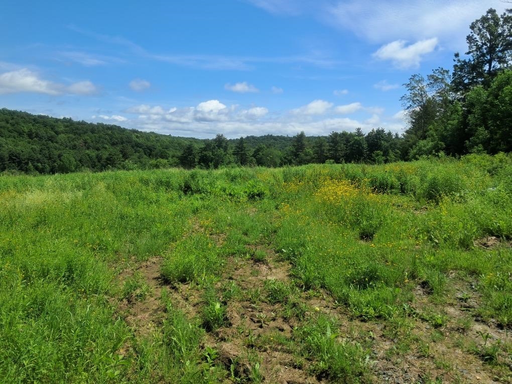 1567 Hollow Road, Monkton