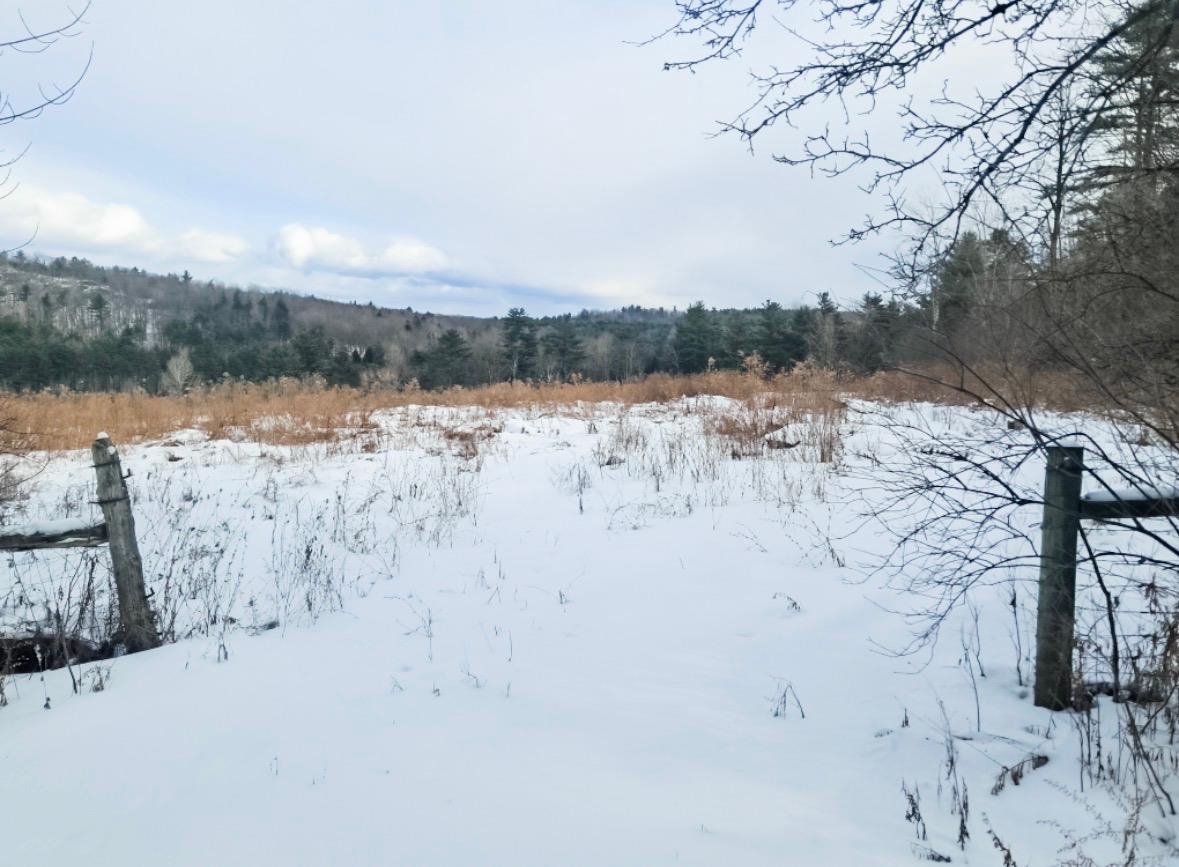 1567 Hollow Road