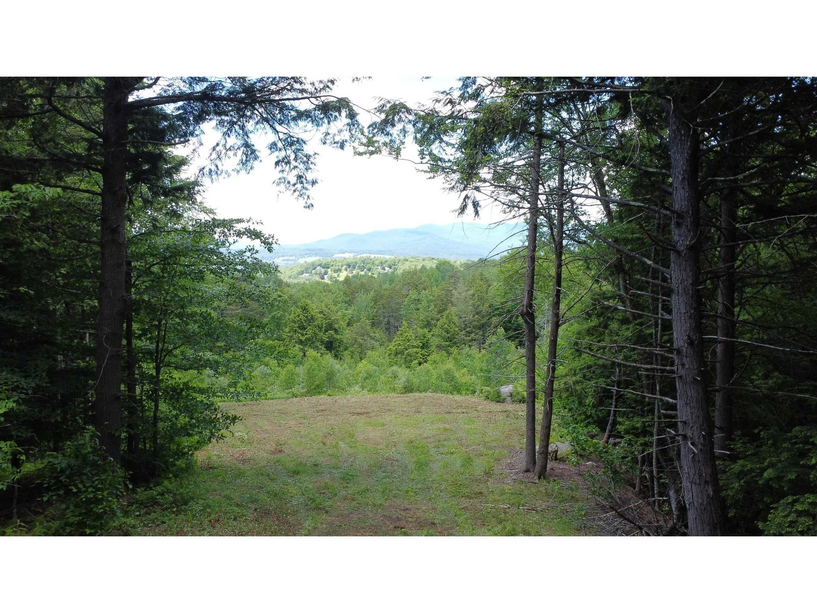 157 Bear Creek Lane