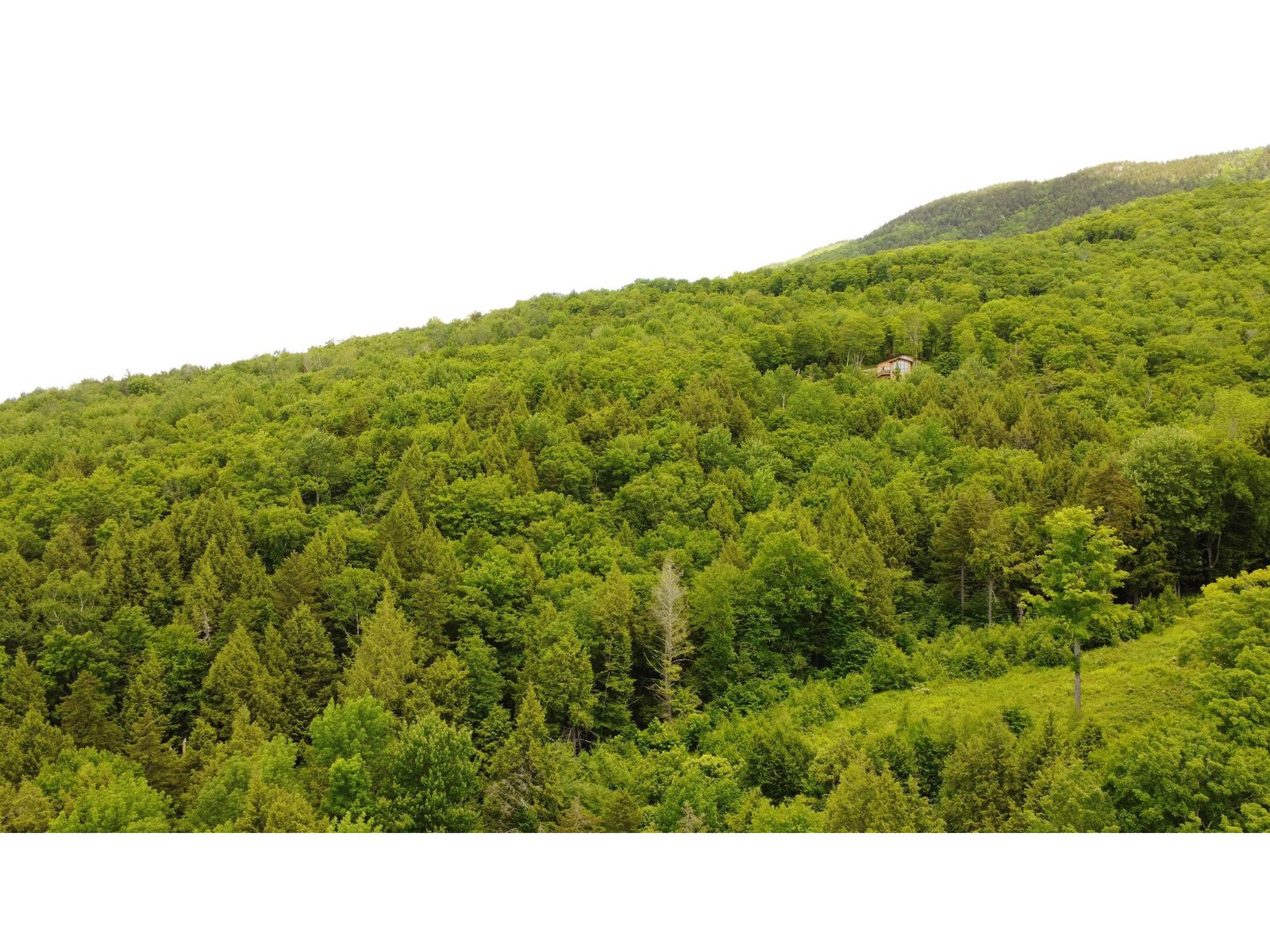 157 Bear Creek Lane